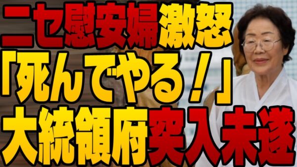 韓国大統領府に自称慰安婦が不法侵入未遂！？ガチギレする李容洙【ゆっくり解説】【ゆっくり 解説】