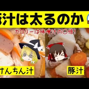 【ゆっくり解説】豚汁を毎日食べるとどうなる？けんちん汁との違いについて