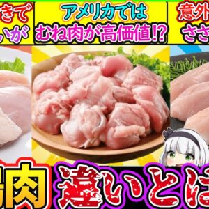 【ゆっくり解説】家庭料理史上最も便利な鶏肉の「部位の違い」を解説！もも肉・むね肉・ささみ違いとは？