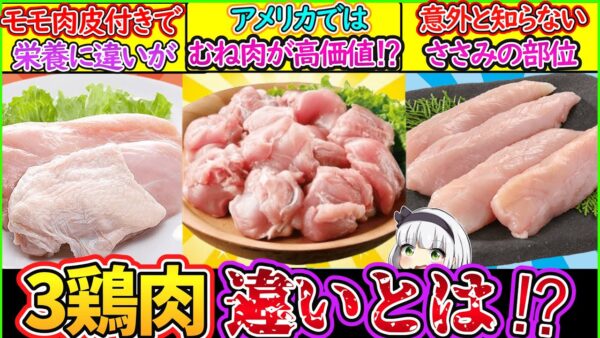 【ゆっくり解説】家庭料理史上最も便利な鶏肉の「部位の違い」を解説！もも肉・むね肉・ささみ違いとは？