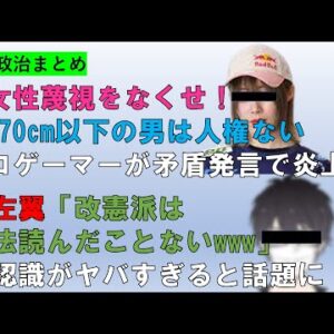 【俺的政治まとめ】プロゲーマーの人権発言の矛盾と左翼のTwitterでの暴言など