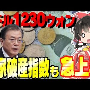 【韓国経済】1ドル1230ウォンを突破、国家破産指標も急上昇【ゆっくり解説】