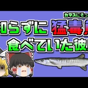 【1989年沖縄】毒魚とは知らずに焼いて食べてしまったカップル 彼らを苦しめた「シガテラ」とは？【ゆっくり解説】