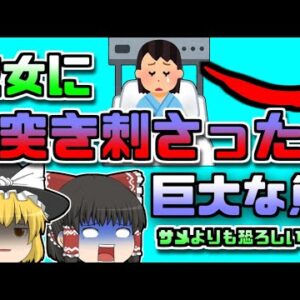 【2000年ｱﾒﾘｶ】ダイビング中に女性を襲った『サメよりも恐ろしい魚』 【ゆっくり解説】
