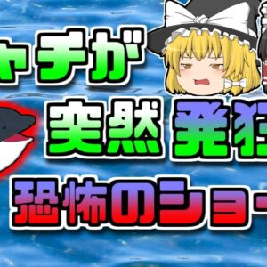 【2003年ｱﾒﾘｶ】ショーの最中突然発狂したシャチ 飼育員に襲い掛かり…【ゆっくり解説】