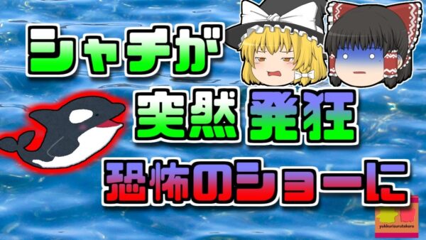 【2003年ｱﾒﾘｶ】ショーの最中突然発狂したシャチ 飼育員に襲い掛かり…【ゆっくり解説】