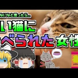 【2004年ｱﾒﾘｶ】飢えた猫たちに体を食べられていた女性…【ゆっくり解説】