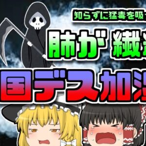 【2006年韓国】水蒸気を吸うと肺が繊維化する「〇人加湿器」約5000人が被害に・・・【ゆっくり解説】