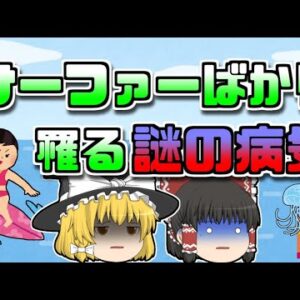 【2010年宮崎】サーファーだけがなる病気？！その意外な原因とは【ゆっくり解説】