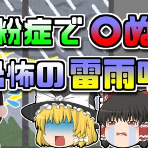 【2016年】花粉症で〇ぬ!?天候と組み合わさると恐ろしい『雷雨喘息』に【ゆっくり解説】
