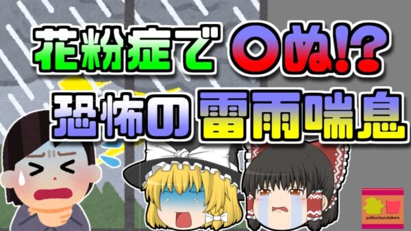【2016年】花粉症で〇ぬ!?天候と組み合わさると恐ろしい『雷雨喘息』に【ゆっくり解説】