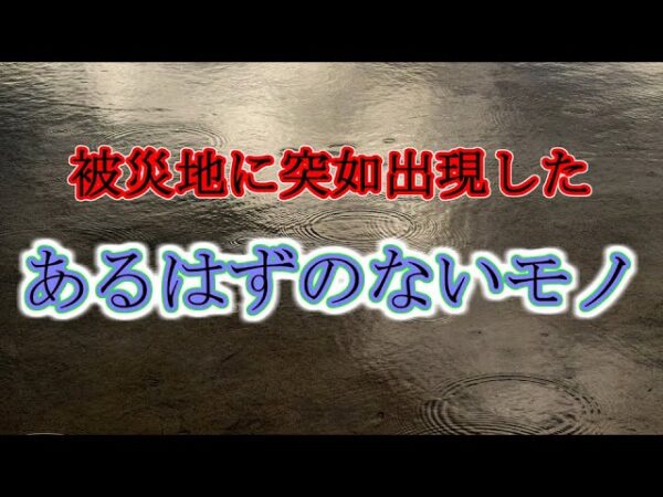【ゆっくり解説】#26-2 とある写真家の震災記録(中編)～蘇った命～【閲覧注意】