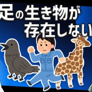【疑問】3本足の生き物が存在しない理由
