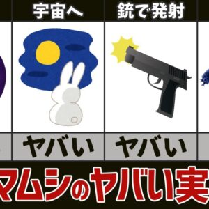 【ゆっくり解説】クマムシが受けたヤバすぎる実験4選