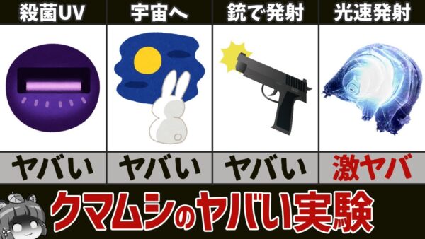 【ゆっくり解説】クマムシが受けたヤバすぎる実験4選