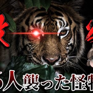 『チャンパーワットの人食いトラ』436人の犠牲を出した史上最悪の獣害事件～覚悟編～#2