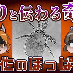 「土佐のほっぱん」70年以上祟りと恐れられた謎の奇病