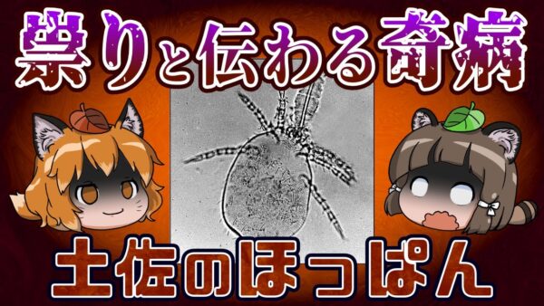 「土佐のほっぱん」70年以上祟りと恐れられた謎の奇病