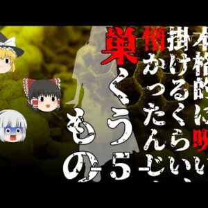【ゆっくり怪談81・洒落怖朗読】巣くうもの・５・指輪―女友達に憑りつく悪霊vs猫を生贄にした呪いの指輪