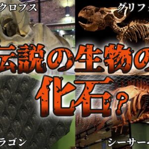 【神獣】伝説の生き物と信じられていた化石9選
