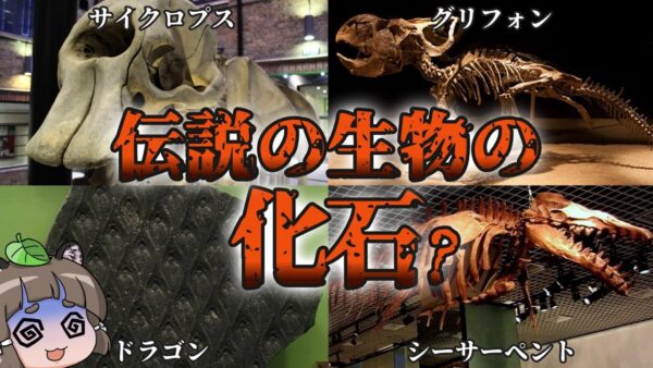 【神獣】伝説の生き物と信じられていた化石9選