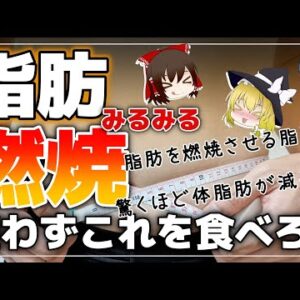 【ゆっくり解説】脂肪を燃焼するためにはこれを食べろ！驚くほど体脂肪が減る食材とは