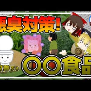 【ゆっくり解説】おならが臭い！止まらない！？おならを無くす腸内環境を整える食事について