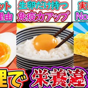 【ゆっくり解説】卵史上衝撃の違い！調理法で栄養素が大きく違っていた…⁉︎