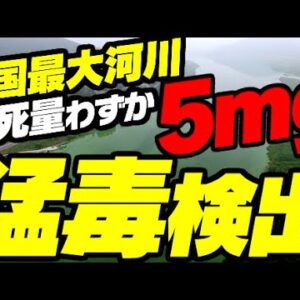 【韓国国内】韓国最大河川、基準値大幅越えの毒物が蔓延【ゆっくり解説】