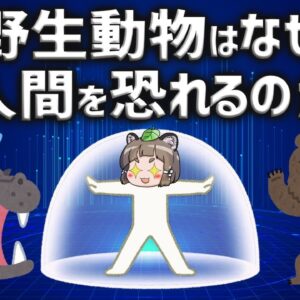 【疑問】人間はなぜ野生動物に襲われにくいのか？