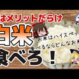 【ゆっくり解説】ご飯は敵じゃない！白米の健康的な食べ方について！