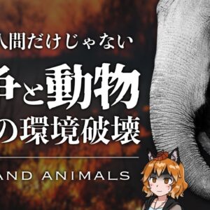 【ゆっくり解説】戦争と被災動物｜野生動物・動物園・ペットを守るためにできること