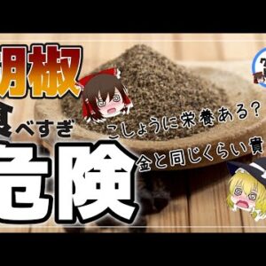 【ゆっくり解説】なぜコショウに価値があったのか？大航海時代の謎について 毎日胡椒をかけ過ぎるとどうなる？【歴史解説】