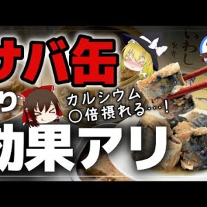 【ゆっくり解説】サバ缶より効く缶詰を発見！若返りの缶詰！肥満改善について