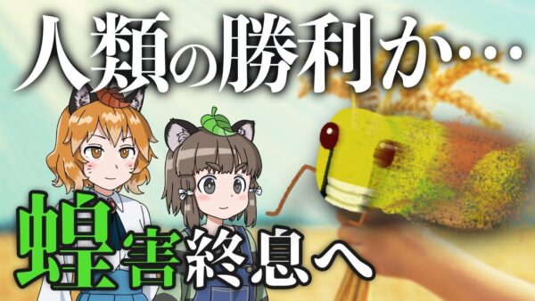 【総集編】蝗害ついに終息へ…人類はバッタに勝ったのか？忍び寄る食品値上げの脅威…