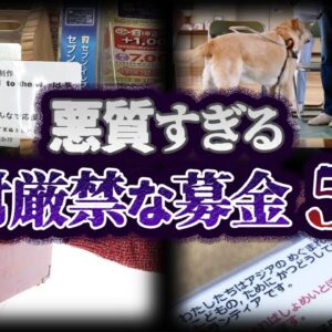 【ゆっくり解説】絶対寄付するな！悪質すぎる募金５選