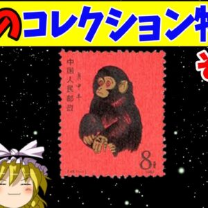 魅惑のコレクション特集！その①