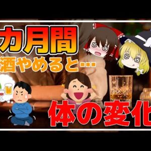 【ゆっくり解説】1か月禁酒するとどうなる？体に起きる変化とは！