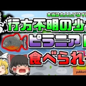 【1990年ペルー】アマゾン支流でほぼ骨状態で発見された女児…行方不明になっていた子供だった【ゆっくり解説】