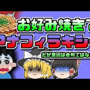 【1998年兵庫】夕食を食べていたら突然アナフィラキシーショック状態に…原因は身近で意外なものだった【ゆっくり解説】