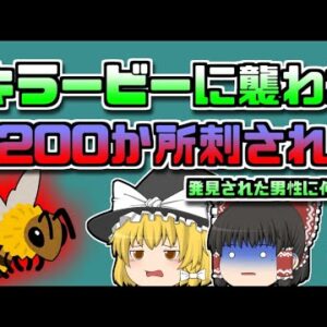 【2000年ｱﾒﾘｶ】『キラービー』に200か所以上刺された男性 【ゆっくり解説】