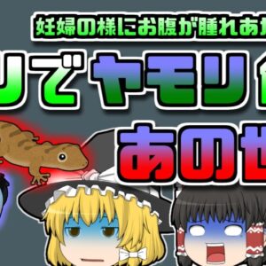 【2001年ｱﾒﾘｶ】「ノリ」でヤモリを飲み込んだ男性 後に腹部が妊婦の様に腫れあがり重態に… 【ゆっくり解説】