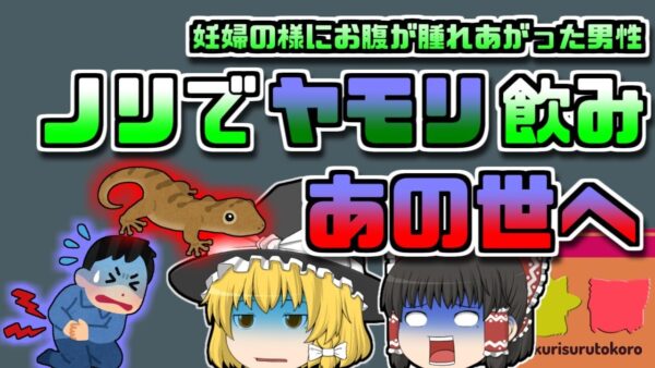 【2001年ｱﾒﾘｶ】「ノリ」でヤモリを飲み込んだ男性 後に腹部が妊婦の様に腫れあがり重態に… 【ゆっくり解説】