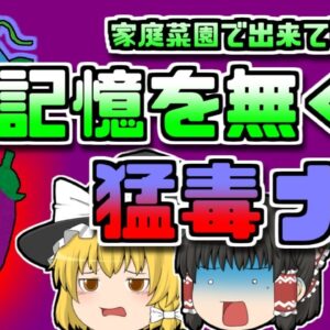 【2006年沖縄】家庭菜園で意図せず出来た『猛毒ナス』記憶喪失を起こす【ゆっくり解説】
