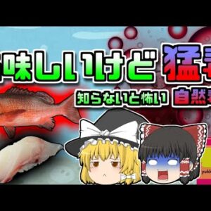 【2009年沖縄】家族で楽しんだ白身魚 美味しいけど実は猛毒…【ゆっくり解説】