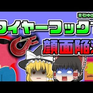 【2009年宮崎】ワイヤーのフックが激突し、顔面が陥没骨折…牽引中のワイヤーの一体何が？【ゆっくり解説】