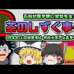 【2010年日本】石鹸が原因で小麦アレルギーに！？「茶のしずく騒動」【ゆっくり解説】