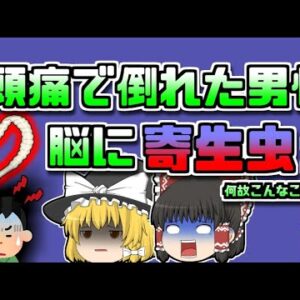 【2013年ｱﾒﾘｶ】頭痛に苛まれていた男性 実は脳が寄生虫だらけに…【ゆっくり解説】