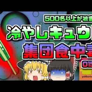【2014年静岡】洗ってないバケツで漬けた『キュウリ』で集団食中毒が発生 500人が苦しむ【ゆっくり解説】