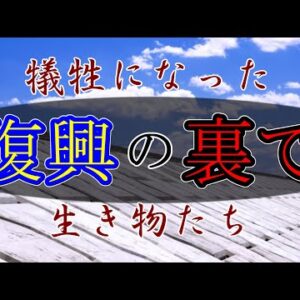 【ゆっくり解説】#26-3 とある写真家の震災記録(後編)～あの時と同じ～【閲覧注意】